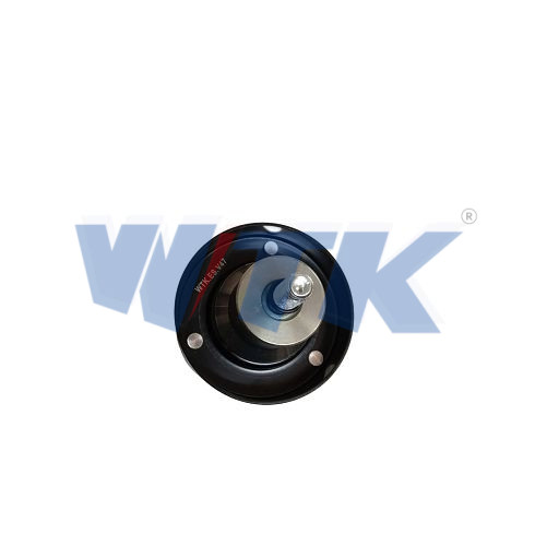 POLIA ESTICADOR CORREIA PARA DAF XF