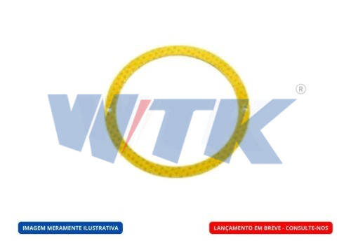 Arruela Mancal Eixo Tandem