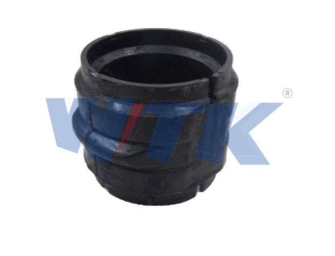 Bucha Barra Estabilizadora Traseira Axor